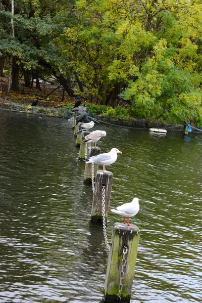 DSC_0679 (Large).JPG